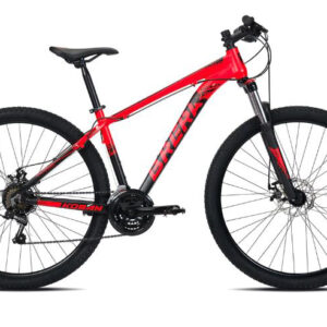 Mountain Bike (bike rent - mod 1)